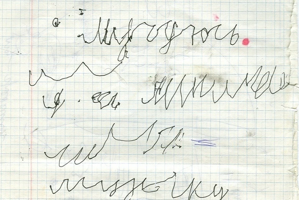 Маленький Илья написал: «Мучаюсь, хочу в школу». Фото: из личного архива семьи Толкач.