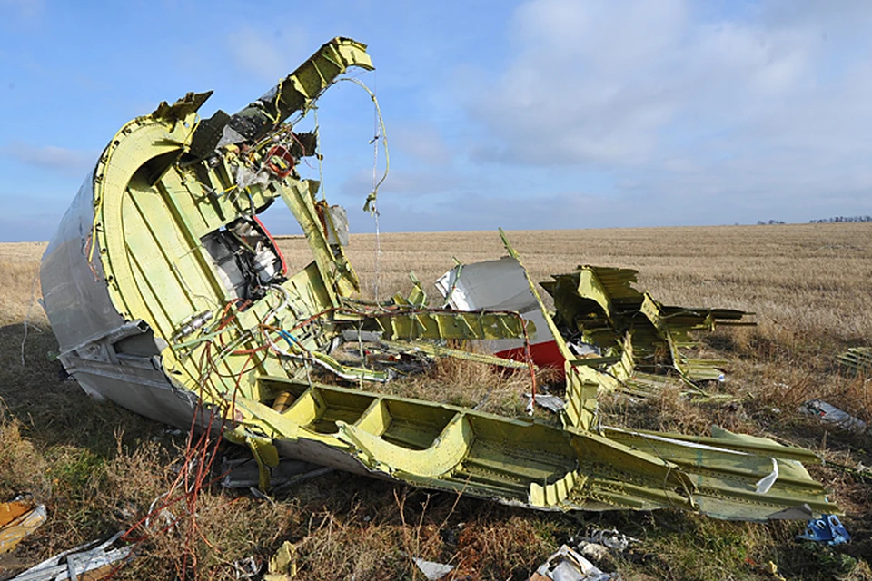 Упал Боинг MH17 – и родина сказала "надо". А куча добровольцев ответила "сделаем". И меньше чем за год, не имея ни образования, ни опыта, ни доступа к материалам расследования, состряпала отчёт