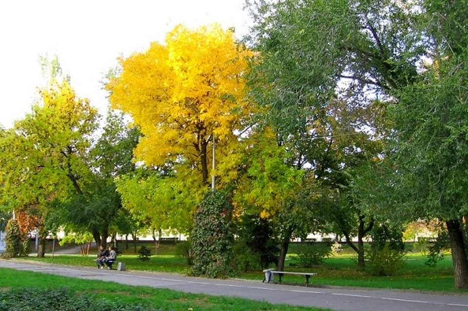 Фото Парка Камышин