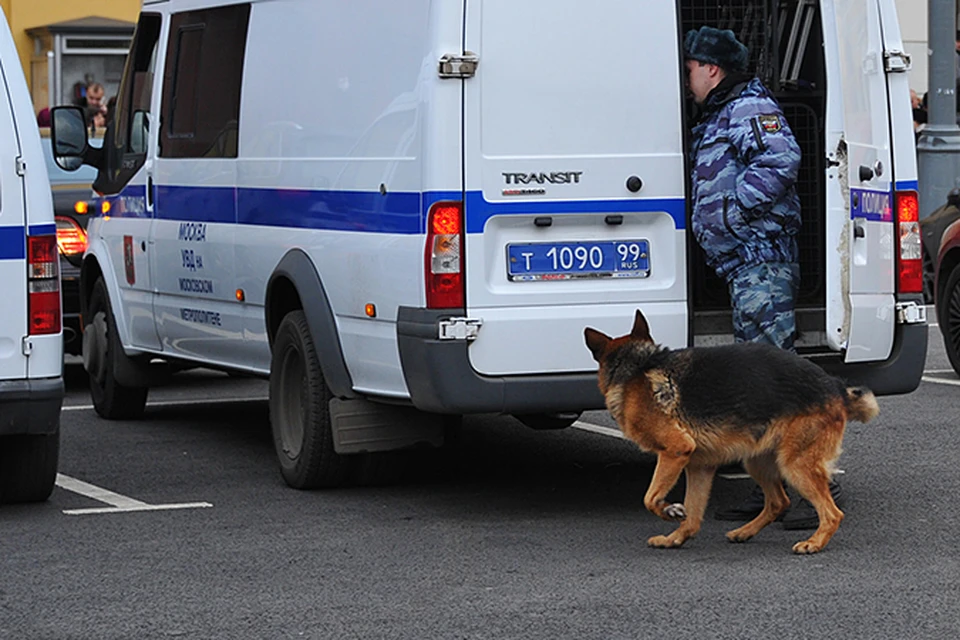 Во всех случаях на месте работали кинологи с натасканными на взрывчатку собаками, саперы. И ни один сигнал, слава богу, не подтвердился