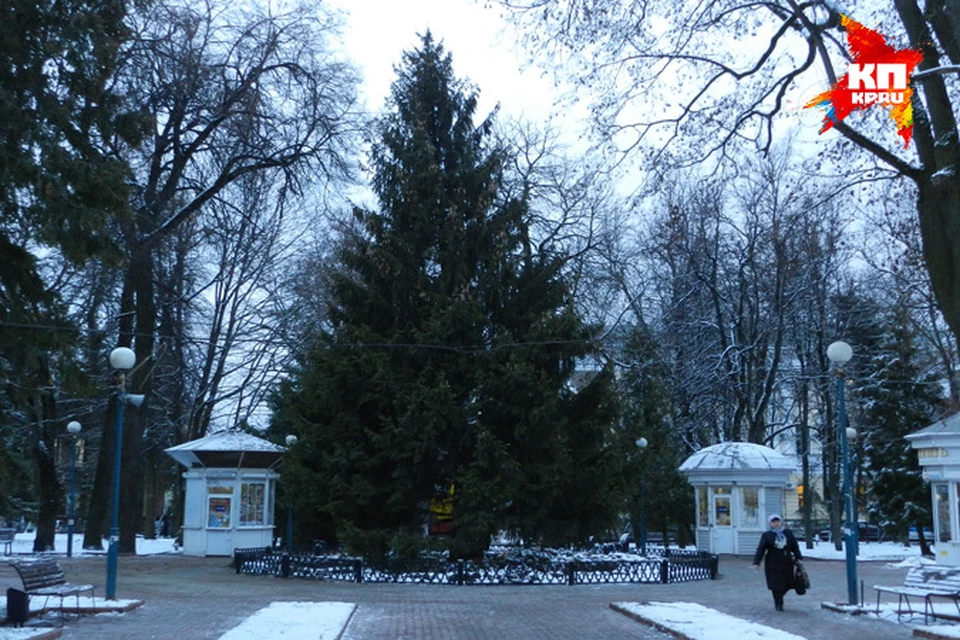 Главную городскую елку установили в Брянске 15 декабря.