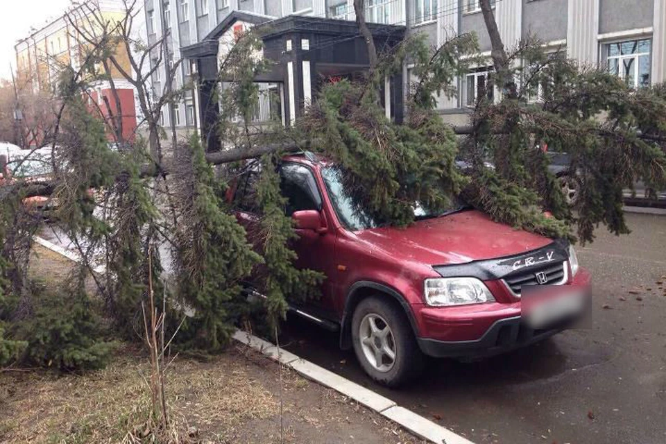 Ураган в иркутске