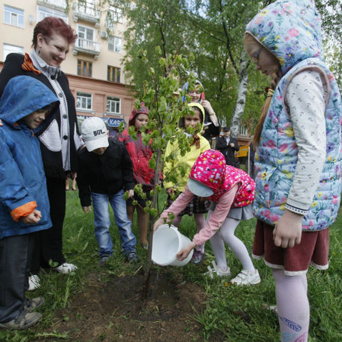 Комсомолка» восстановила срубленную аллею Памяти - KP.RU