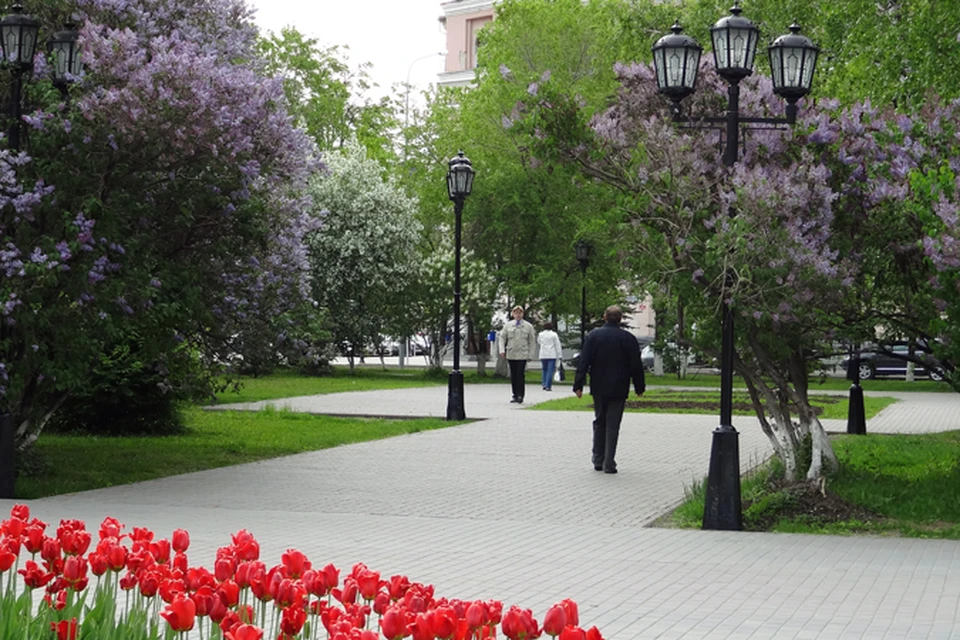 Фото тюмень весна