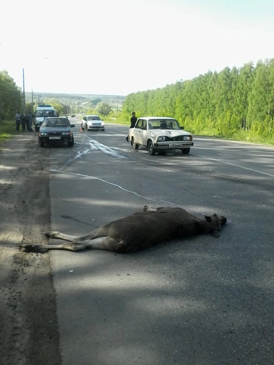 В мире людей - KP.RU