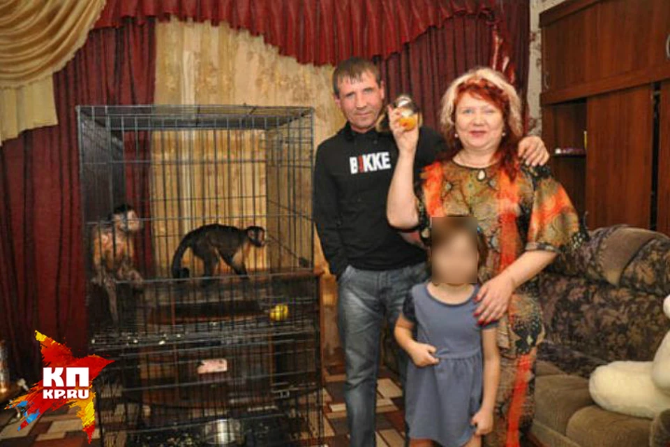 «Нашествие» обезьян в Ангарске: два капуцина сбежали от хозяев и носились по улицам