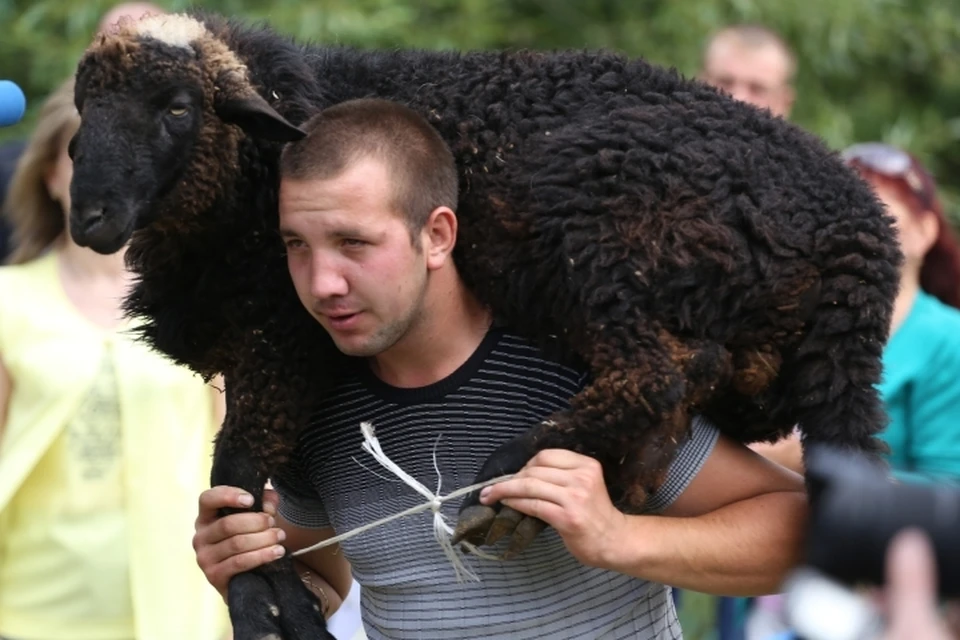 «Сабантуй» в Петровском районе: участнику праздника подарили живого барана