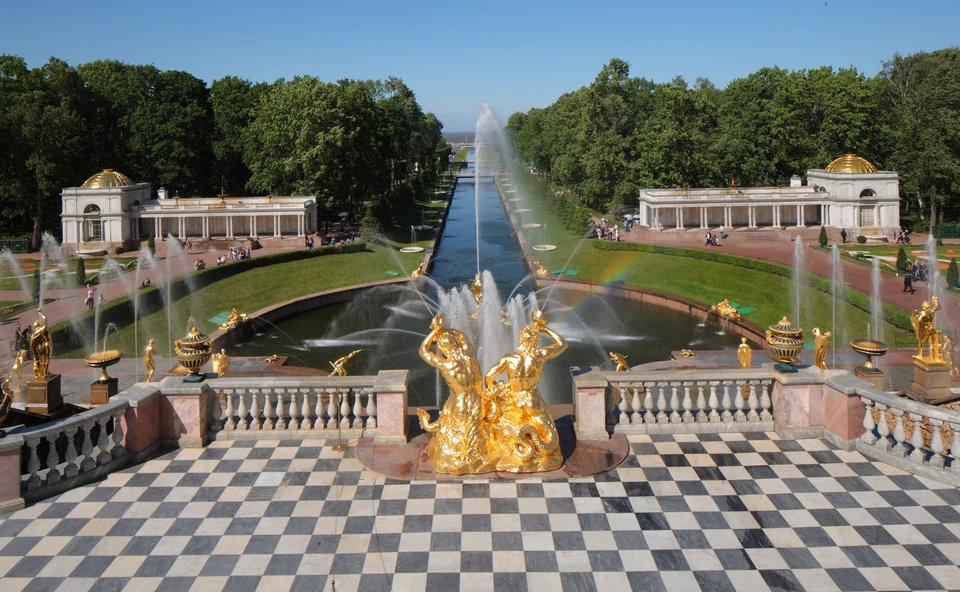 В Петродворцовом районе создают рабочие места и развивают социальную ...