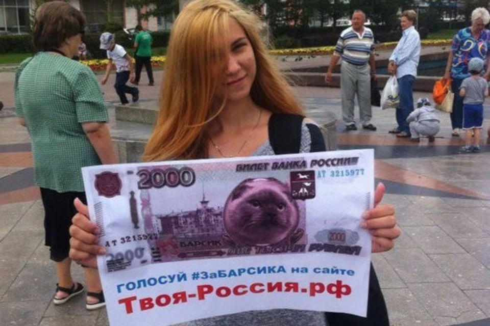 Барнаульцы призвали голосовать за изображение Барсика на новых купюрах