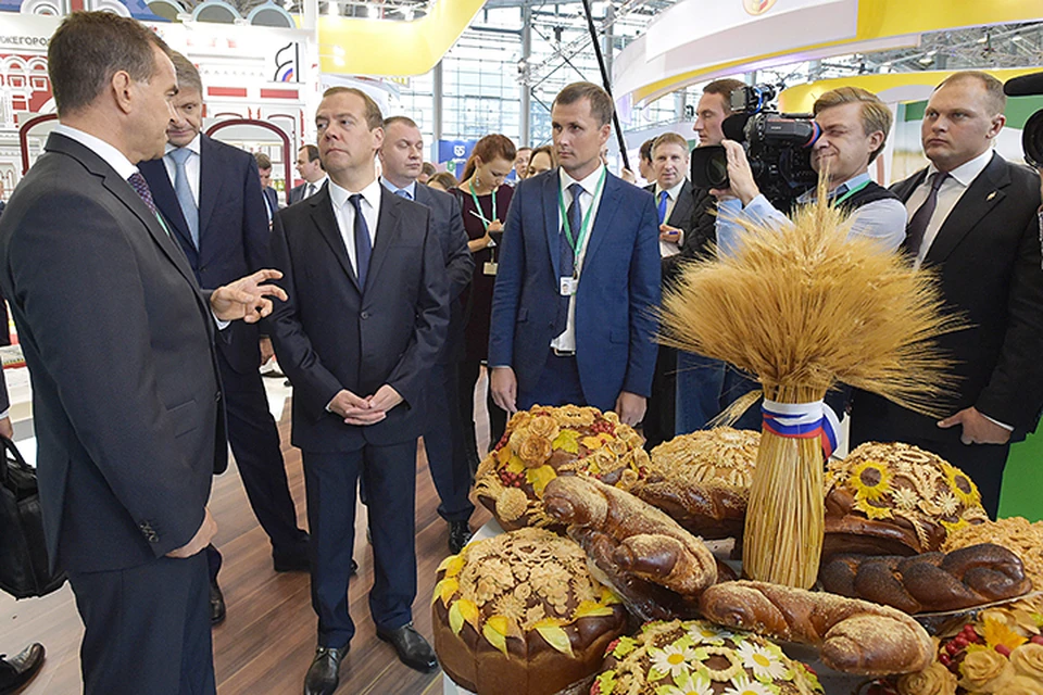 Медведев заявил, что курс на импортозамещение будет продолжен. Фото: Александр Астафьев/ТАСС