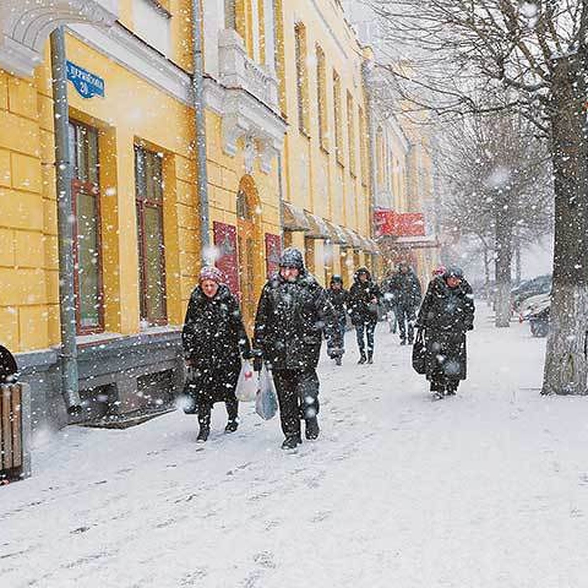 В предстоящие выходные красноярцев ждет настоящий снегопад - KP.RU