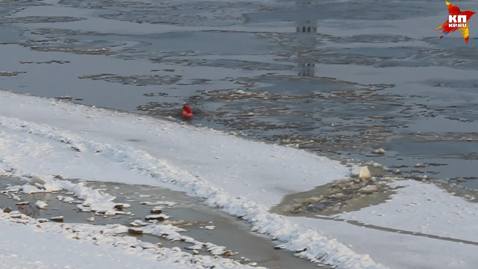 Сыктывкарка упала в холодную воду, спасая свою собаку. Хорошо, что люди оказались рядом!