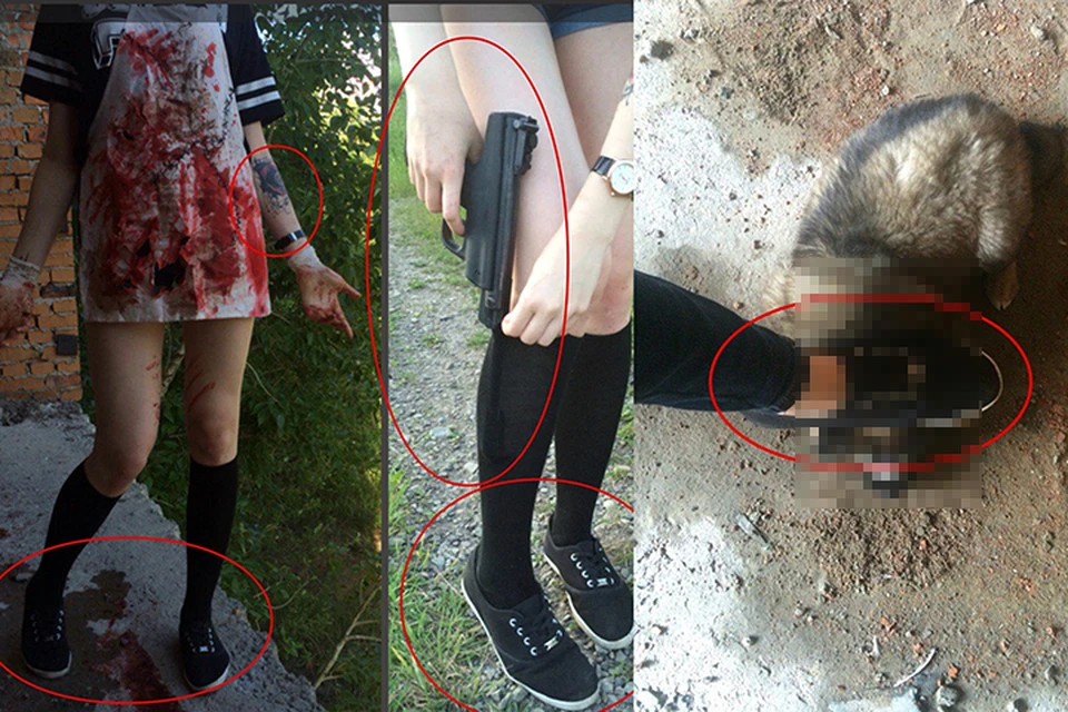Следователи ищут потерпевших в деле хабаровских живодерок
