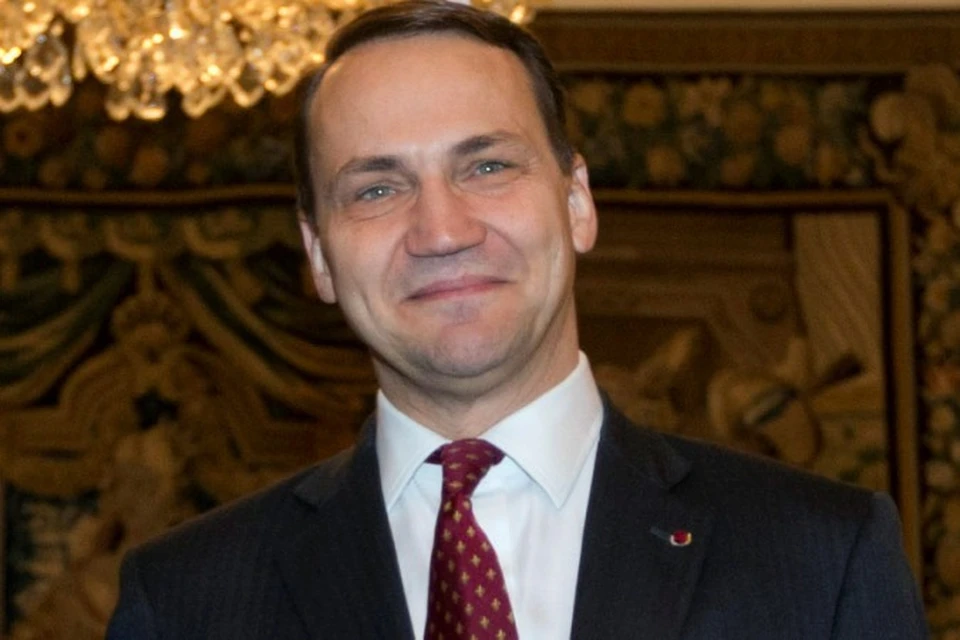 Бывший министр иностранных дел Польши Радослав Сикорский