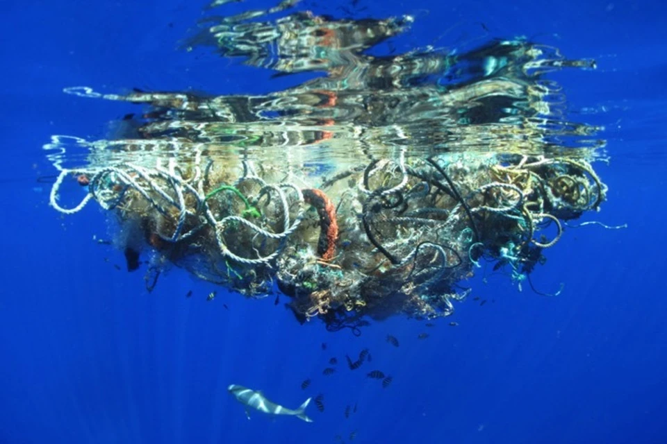 Люди начали производить пластик не так давно, но уже успели замусорить им мировой океан сверх всякой меры.