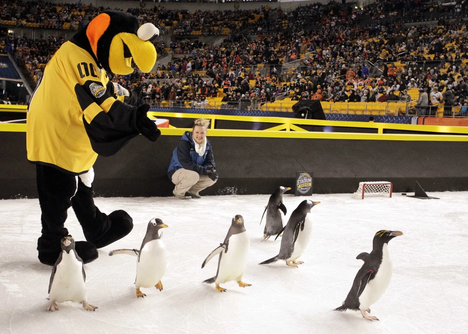 Делегация настоящих пингвинов в компании талисмана хоккейного клуба "Питтсбург".