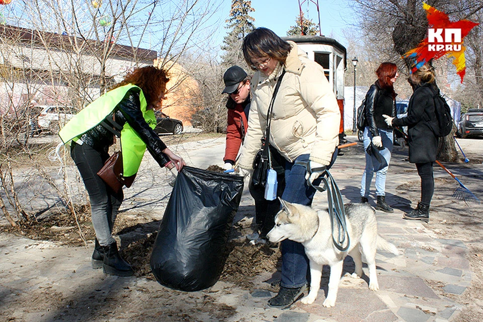 Собаки участвовали в уборке вместе с хозяевами.
