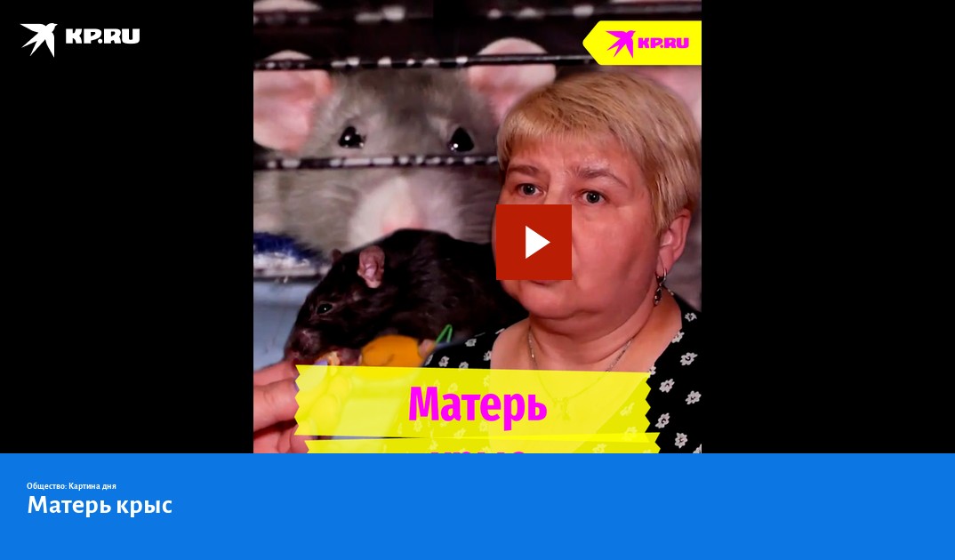 Матерь крыс - KP.RU