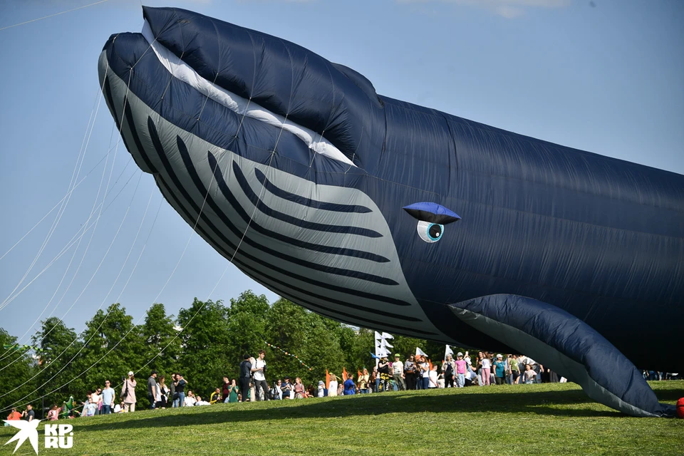 В Царицыно прошел фестиваль воздушных змеев «Пестрое небо». Фото: Иван МАКЕЕВ