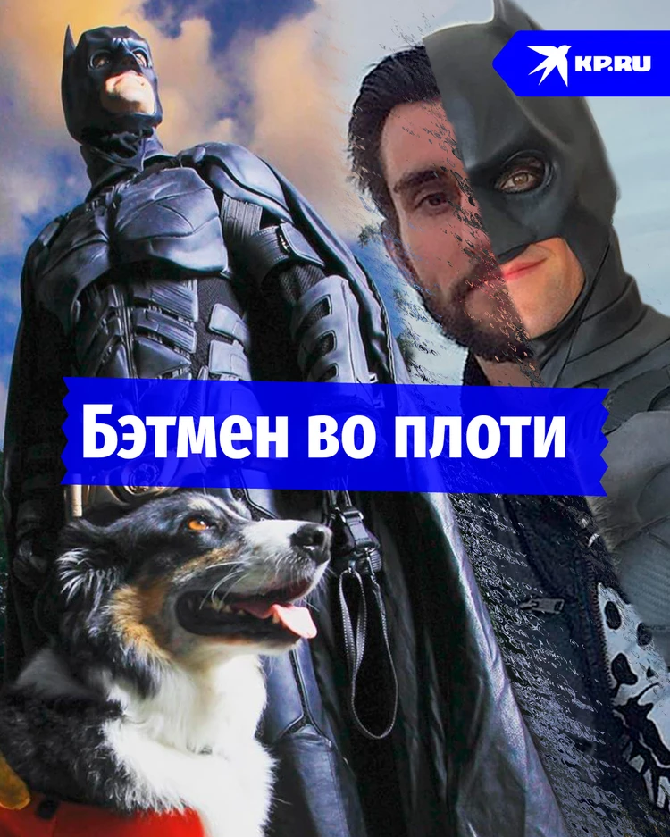 Спасает бездомных животных в костюме Бэтмена