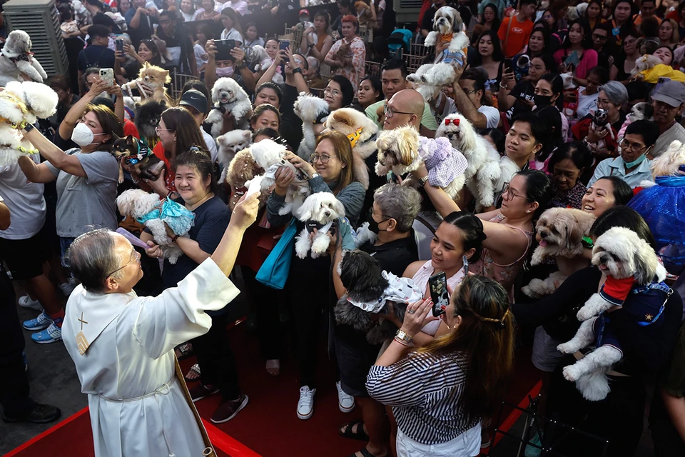 Священник благословляет домашних животных на Филиппинах в преддверии Всемирного дня животных. Фото: ROLEX DELA PENA/ЕPA/ТАСС