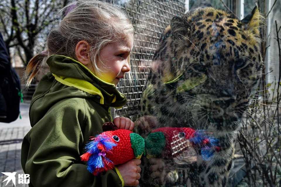 Обитатели Московского зоопарка просыпаются после зимы. Фото: Иван Макеев