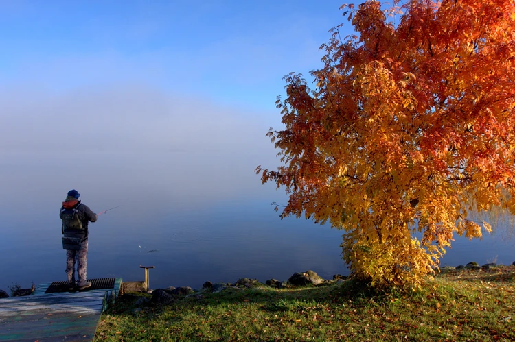 Конкурс среди журналистов российских СМИ и блогеров «Окно в природу»