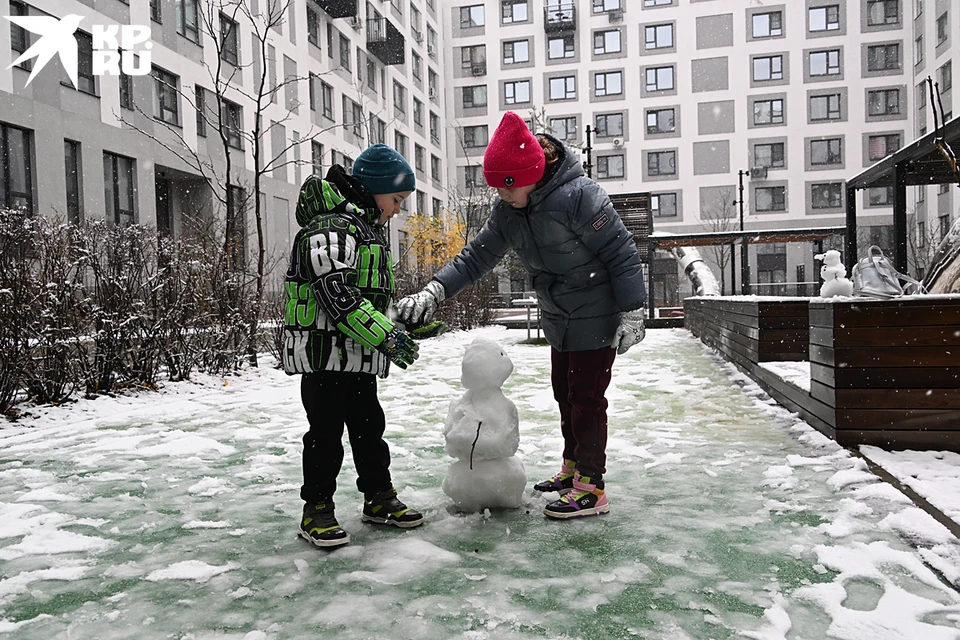 В Москве выпал первый снег. Фото: Михаил ФРОЛОВ