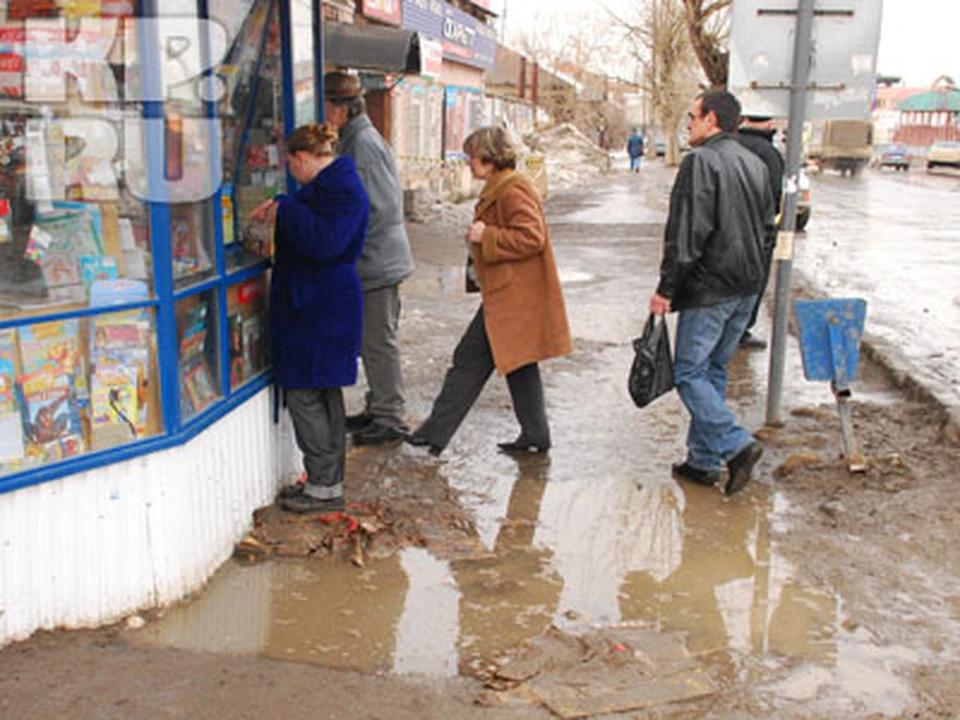 Грязный львов фото