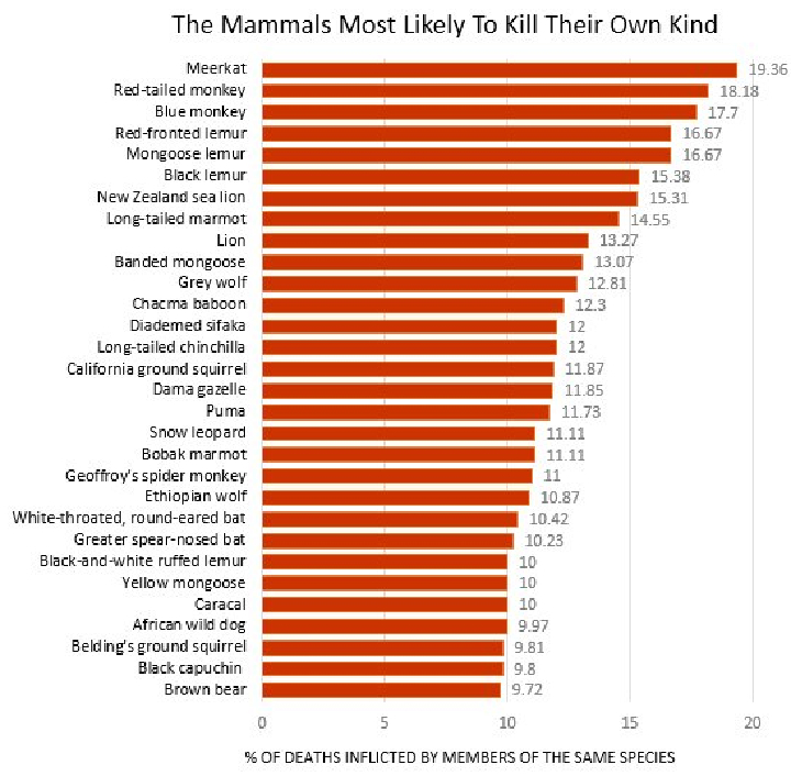 Most likely you want to. Рейтинг групп. The mammals most likely to Kill their own kind.