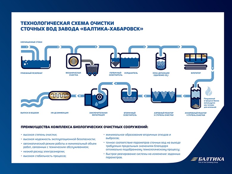 Реферат: Отчет о посещении пивоваренной компании Балтика