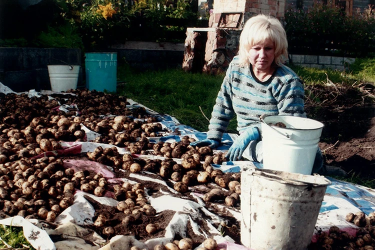 Қынап қуыршақ бейне Лара Крофттың секс суреттері