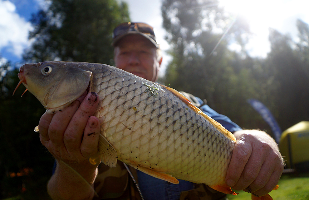 В том случае, когда суточная норма добычи установлена по весу и выловлен 1 экземляр с весом, превышающим суточную норму добычи, штрафовать любителя-рыболова не будут