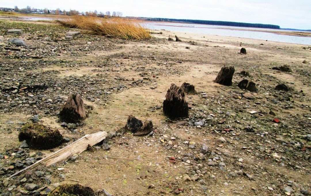 То, что осталось от старинного парка. Фото: Татьяна Вавилова