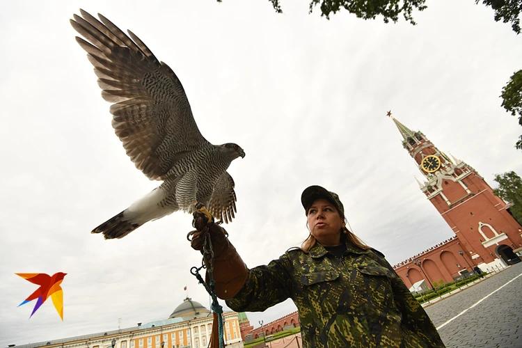 Охота в москве