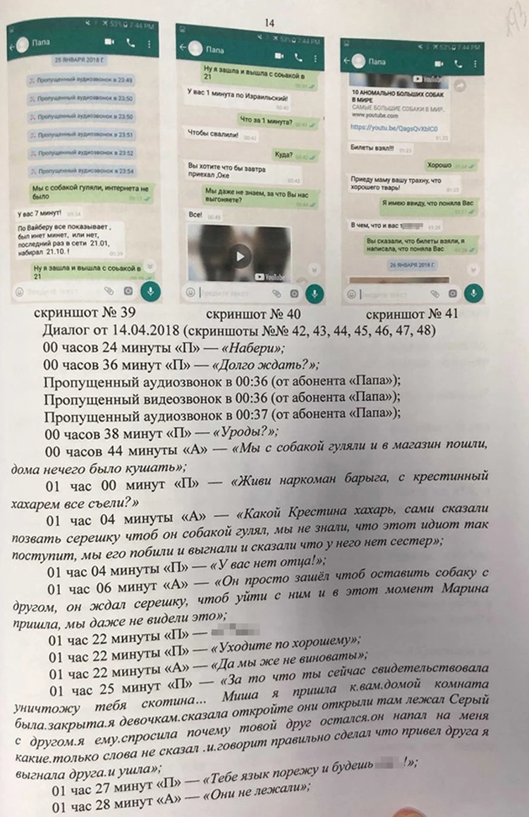 Буду бить за все, убивать буду»: обнародована переписка Михаила Хачатуряна  с дочкой - KP.RU