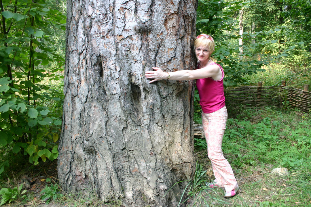 Вот такие деревья встречаются в пуще!