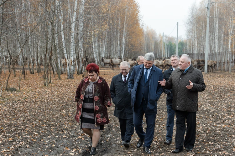 Когда в таловой построят дом культуры