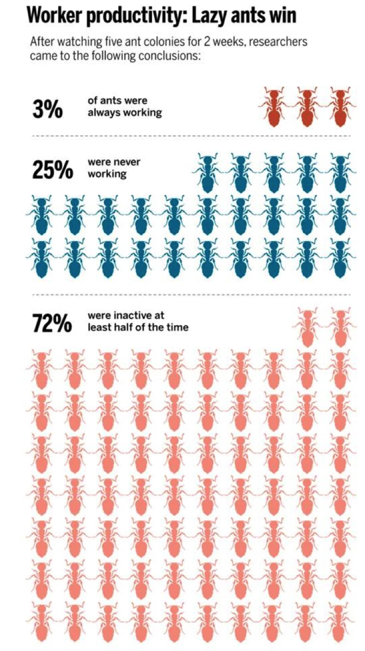Главное открытие уходящего десятилетия: среди муравьев полно бездельников -  KP.RU