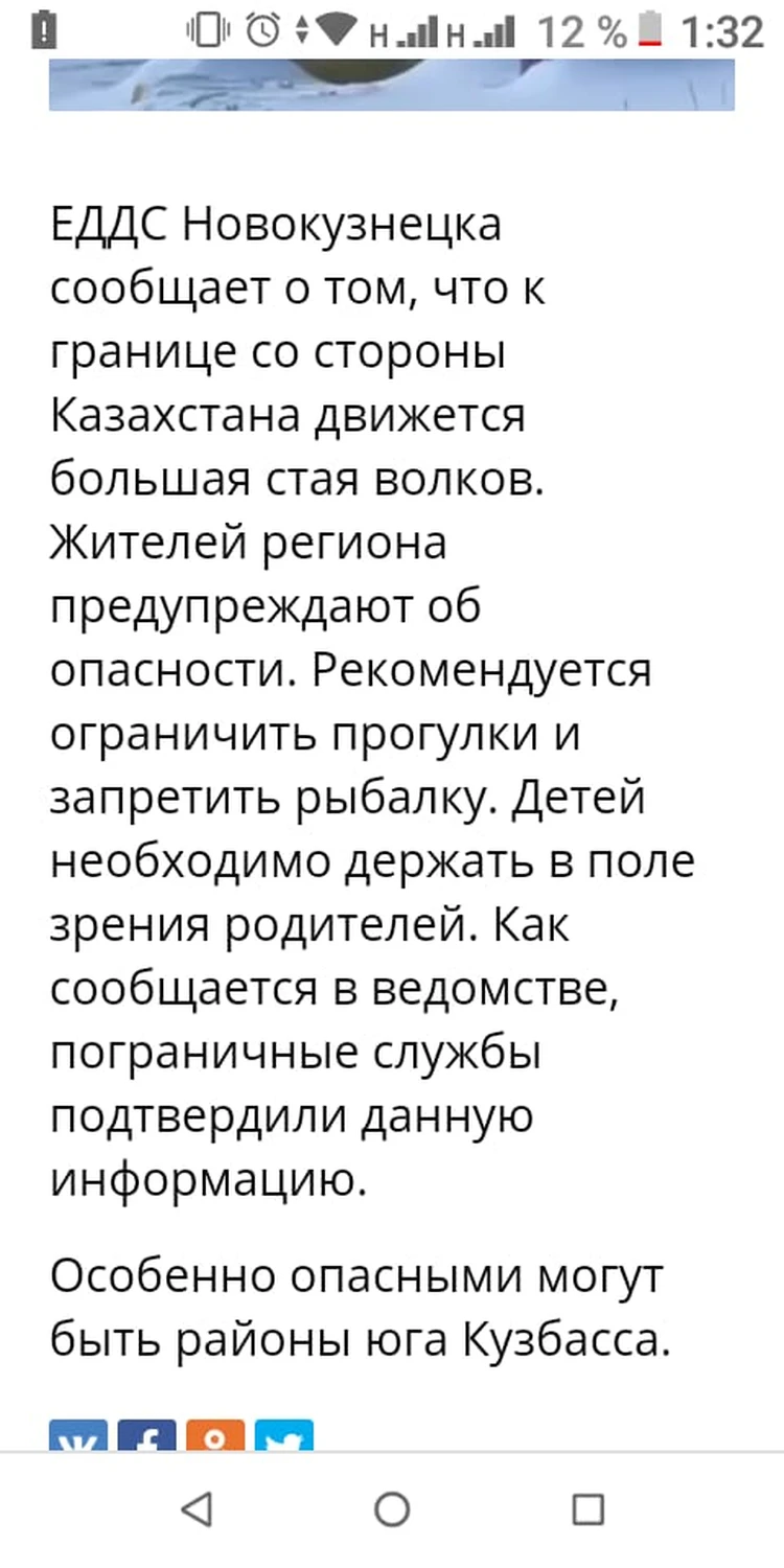 Огромная стая волков идет из Казахстана: кузбассовцы делятся видео в  соцсетях - KP.RU