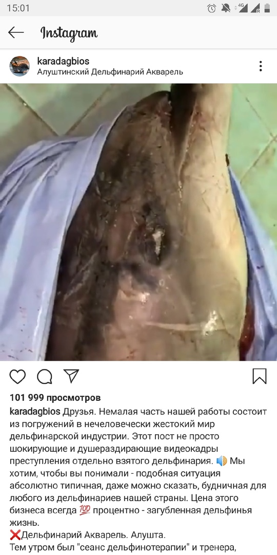 Дельфин содерджался в меленьком бассейне, у него произошел отек легких. Фото: karadagbios/Instagram