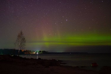Увидеть сияние можно во многих районах Ленобласти / Фото: Александр Спиридонов