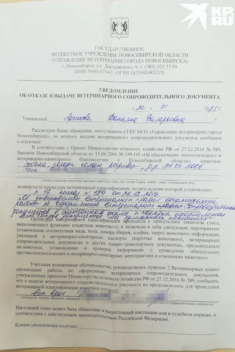 Это переходит все границы»: слепой сибирячке устроили квест в ветеринарной  клинике из-за справки для собаки-поводыря - KP.RU