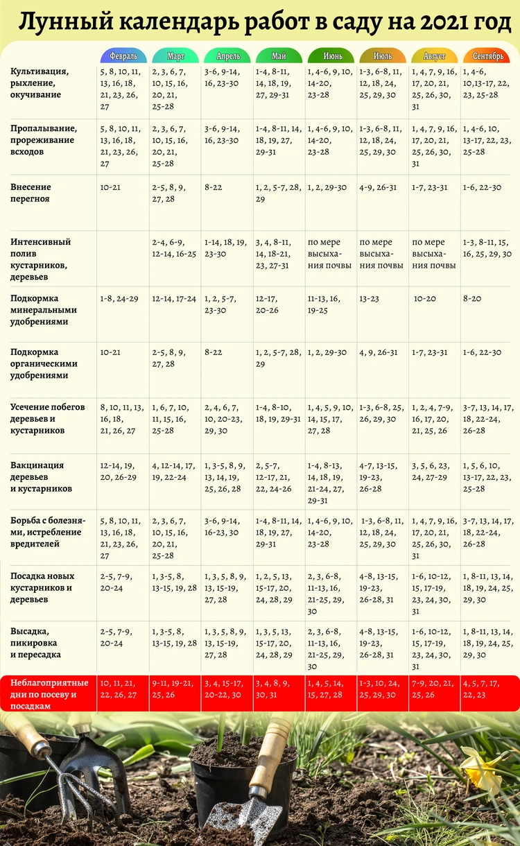 Лунный посевной календарь для садоводов и огородников Кузбасса – 2021 -  KP.RU