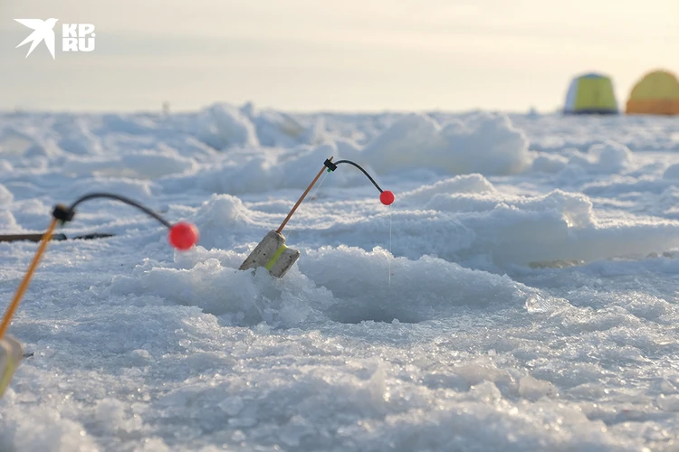Морские тараканы и «подводный лифт»: Как зимой в Петербурге ловят