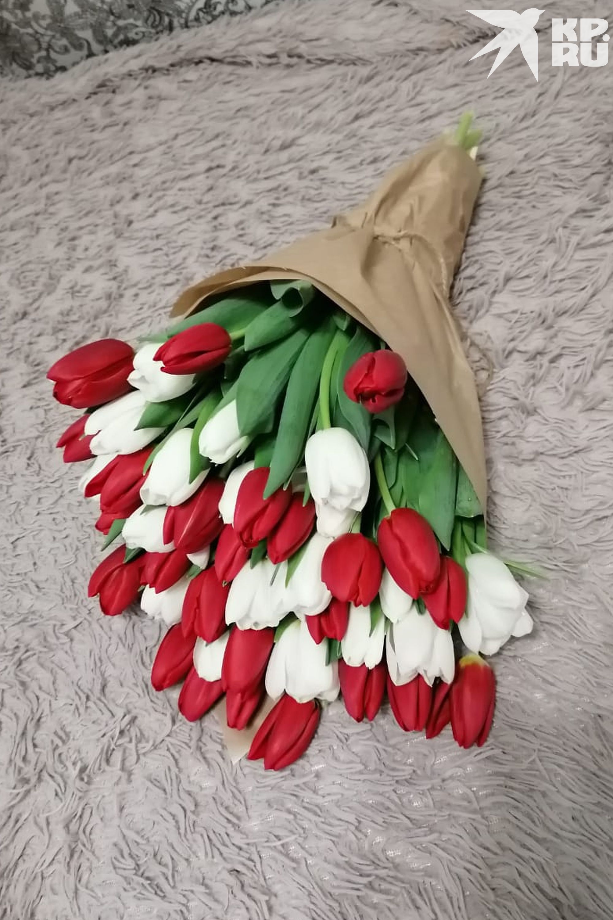 Podívejte se, jaká krása!
