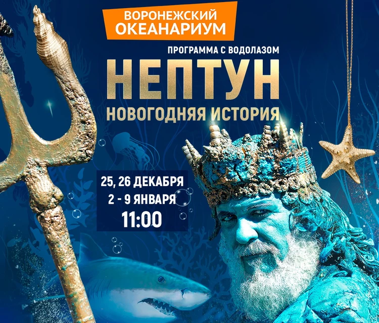 Новогодние Представления Для Детей В Воронеже Новогодние Представления Для Детей В Воронеже