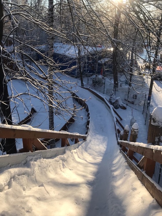 Горки разной высоты и размеров. Фото: группа Вконтакте Парк им. 1 Мая (https://vk.com/park1maya).
