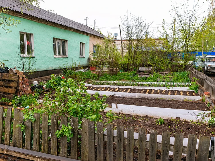 Огород под окнами многоквартирного дома