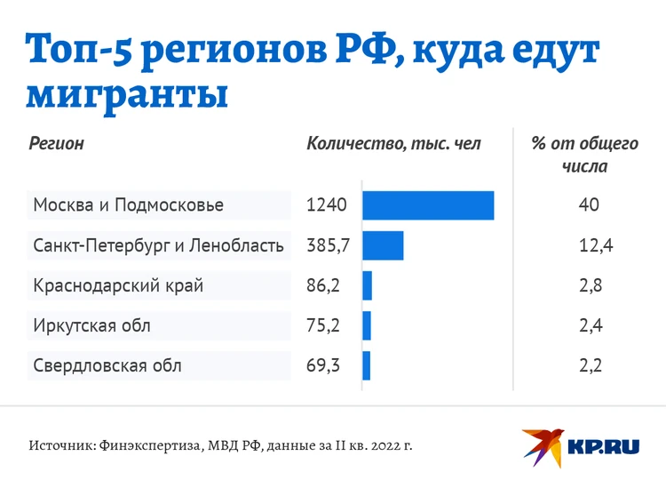 Работа как волк: работающих не по профилю мигрантов попросят покинуть РФ | Статьи | Известия